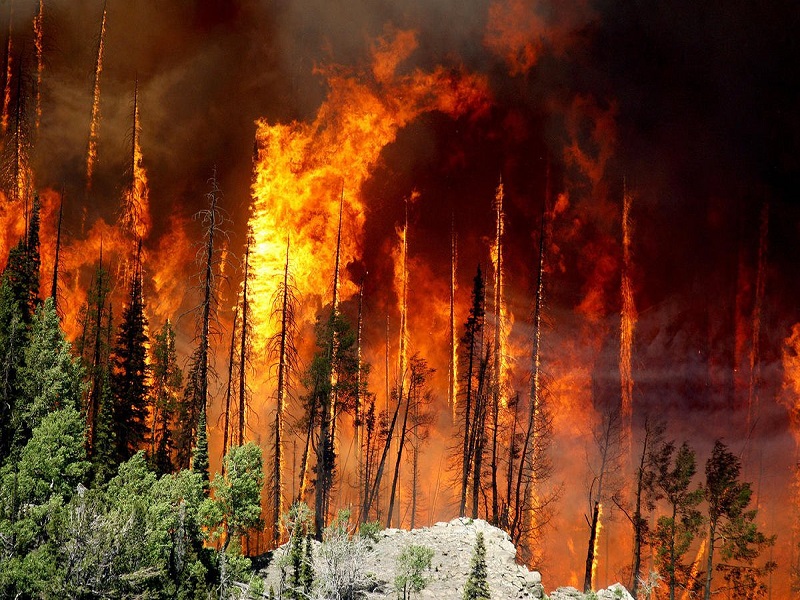 ЕДДС опубликовала основные правила пожарной безопасности на природе.