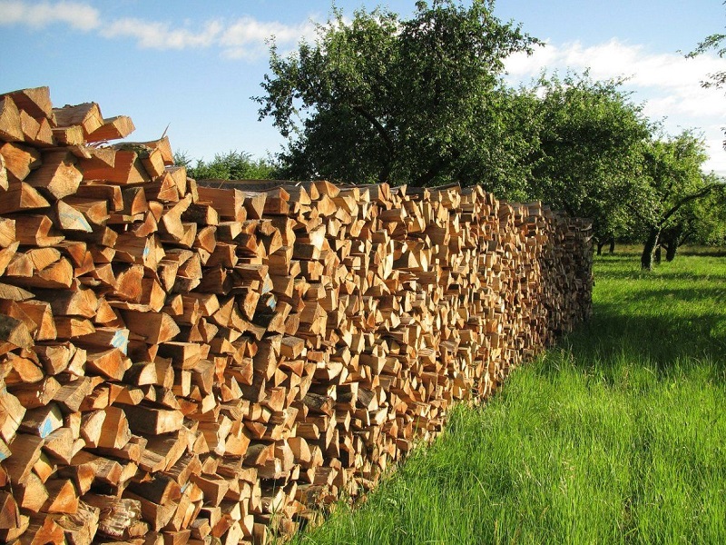 Жители Змеиногорского района могут обратиться за компенсацией части расходов на приобретение угля и дров.