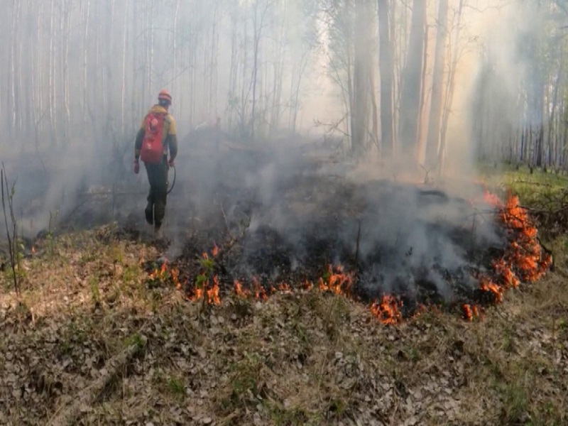 В Алтайском крае в период с 06 июня по 13 июня 2023 года на большей части территории сохранится чрезвычайная пожароопасность.
