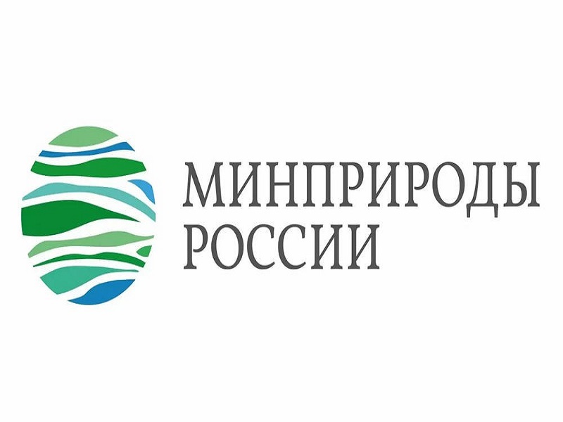 Министерство природных ресурсов и экологии Алтайского края напоминает природопользователям о необходимости предоставления отчетности в области охраны окружающей среды.