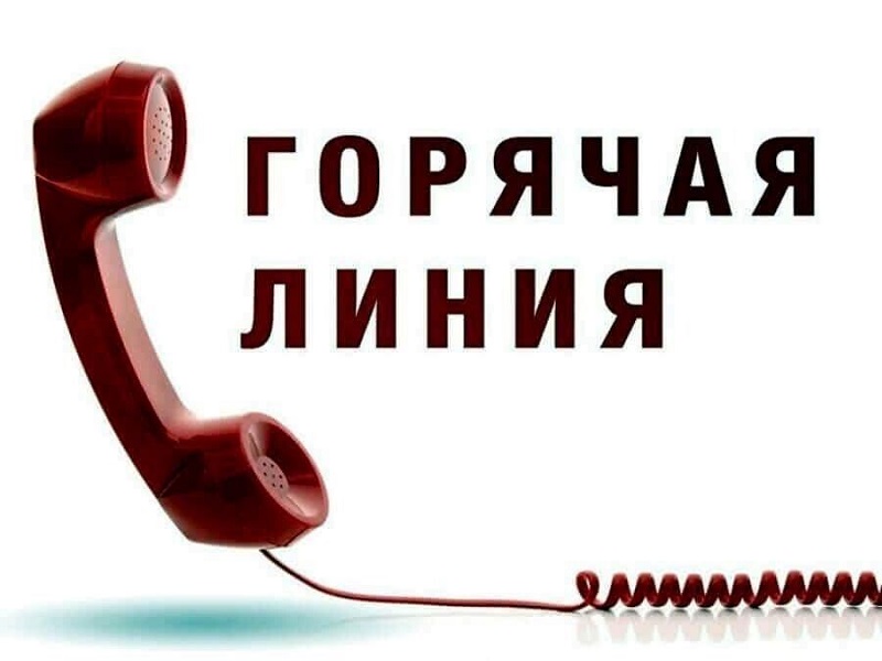 В связи с частым обращением жителей Алтайского края эксперты регионального филиала Роскадастра 29 мая 2023 года с 13.00 до 16.00 организовали проведение прямой телефонной линии по вопросам, связанным с получением сведений из ЕГРН.