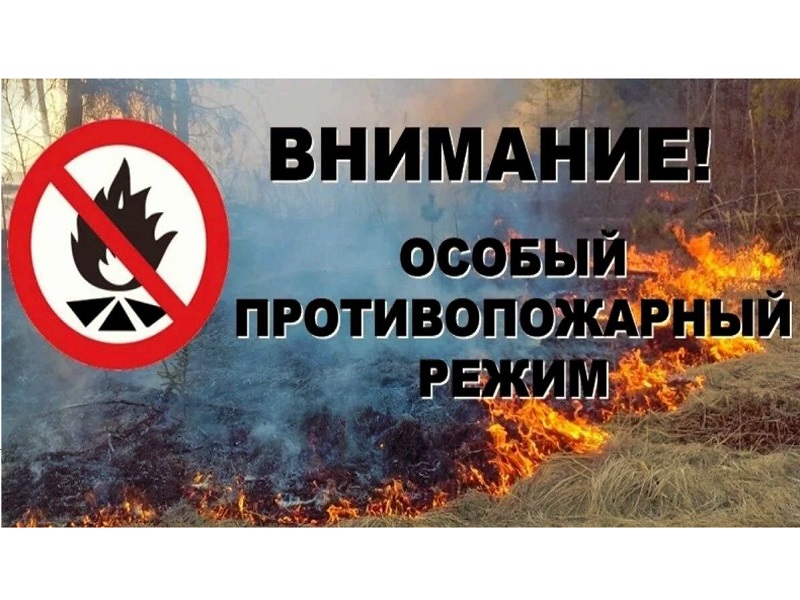 С 27 апреля в Алтайском крае действует особый противопожарный режим.