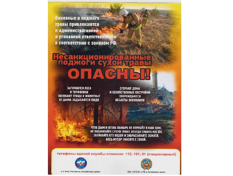 МЧС опубликовало памятку о пожарной безопасности &quot;Несанкционированные поджоги сухой травы опасны!&quot;.