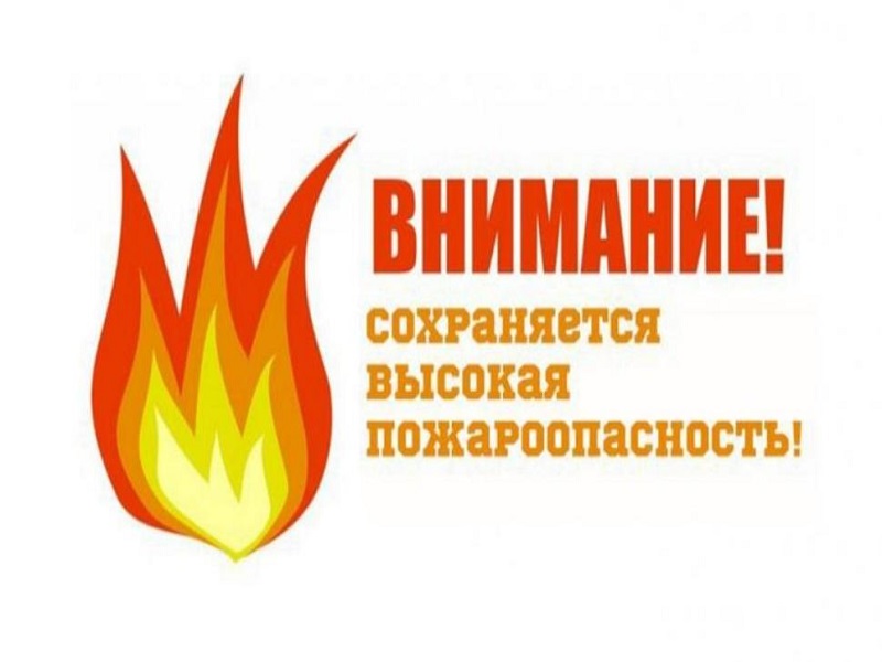 С 12 по 16 июня 2025 года местами в югозападных районах ожидается чрезвычайная пожароопасность.