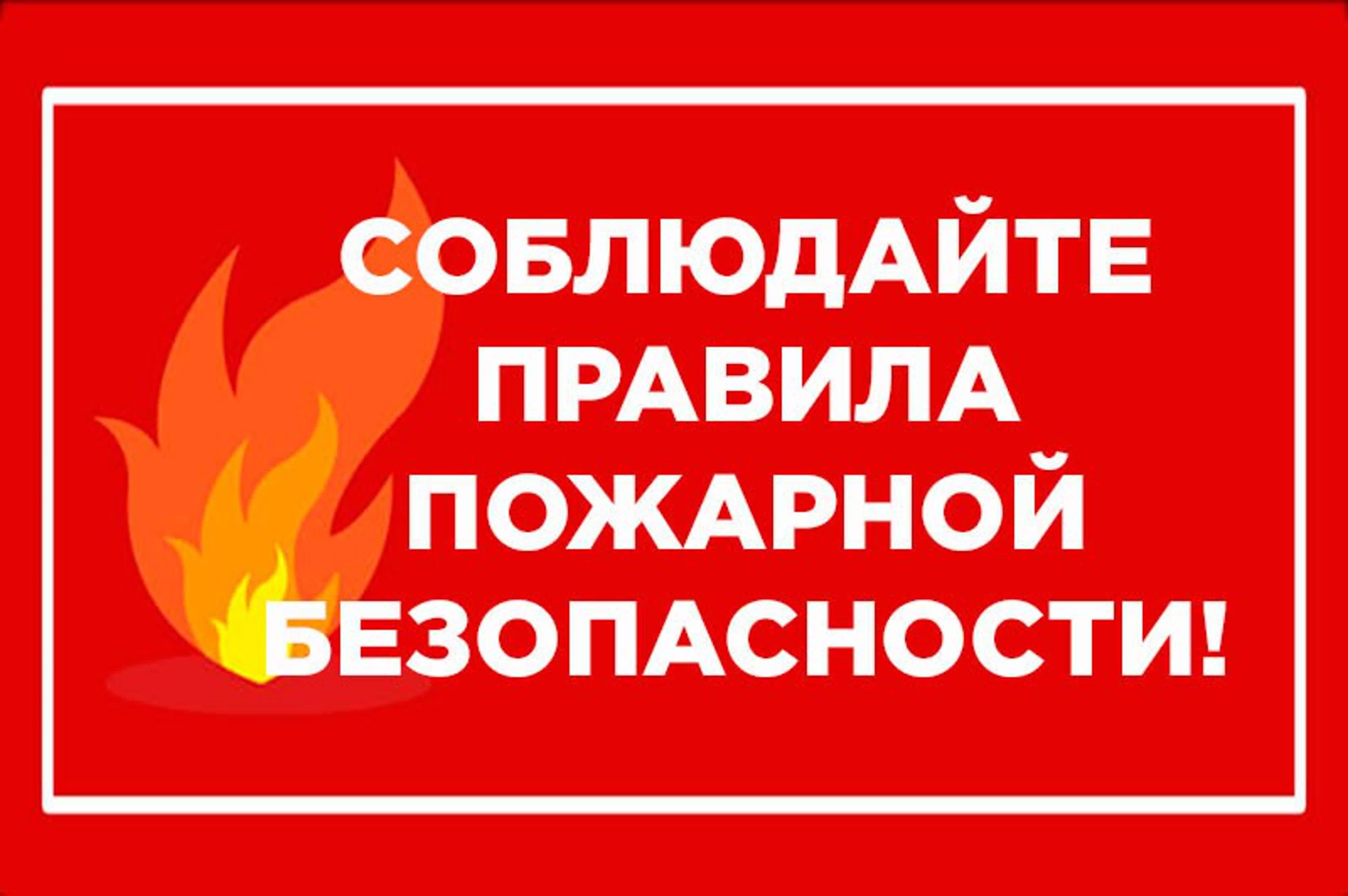 На территории Змеиногорского района введен особый противопожарный режим.