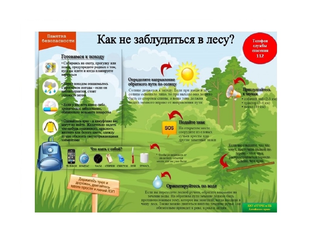 ГО ЧС представил памятку &quot;Как не заблудиться в лесу?&quot;.