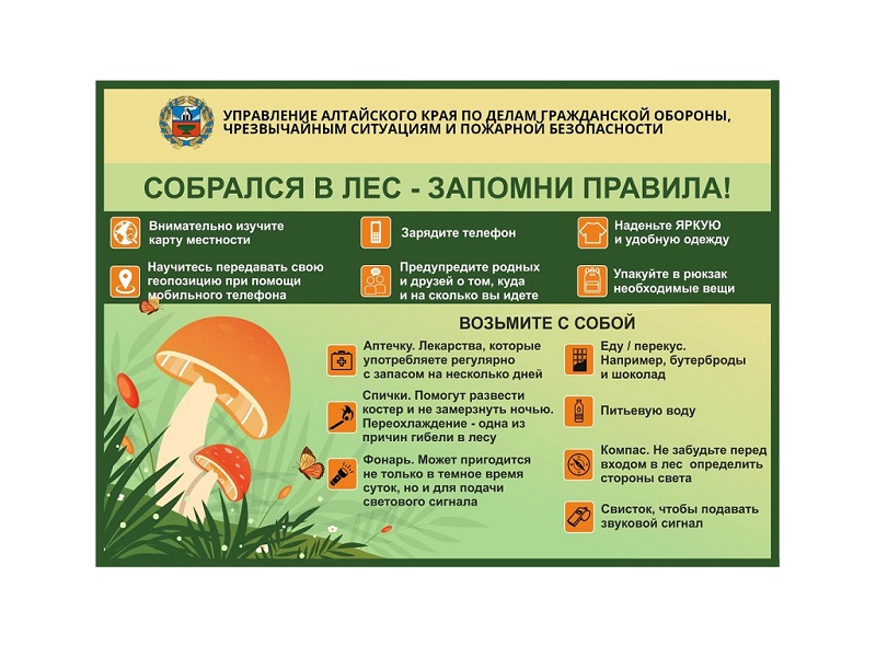 ГО ЧС: Собрался в лес - запомни правила!.